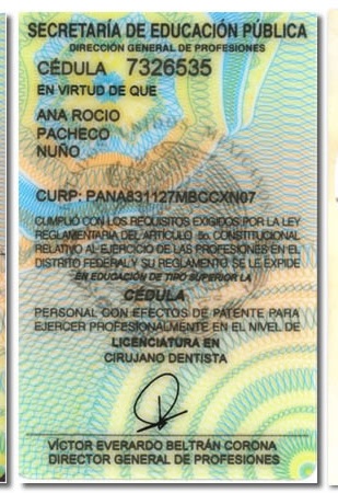 Cédula profesional reverso